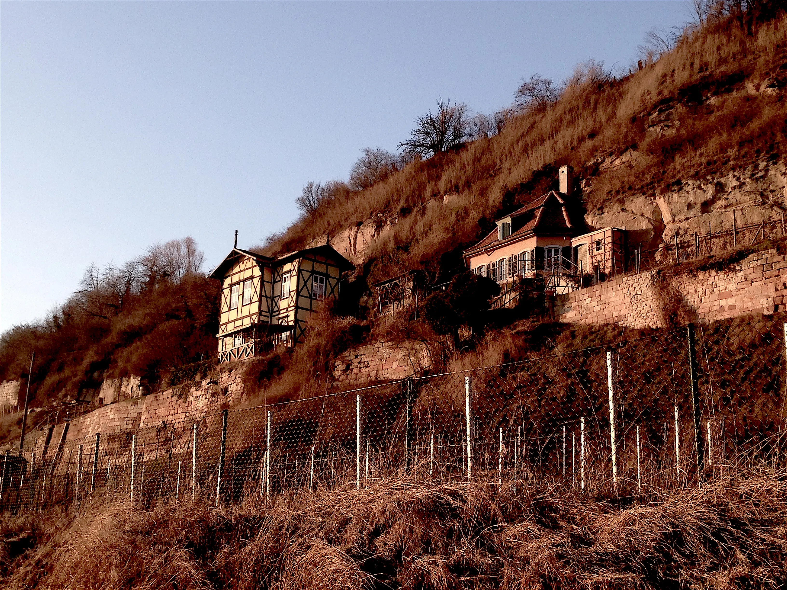 Saaleradwanderweg im Winter