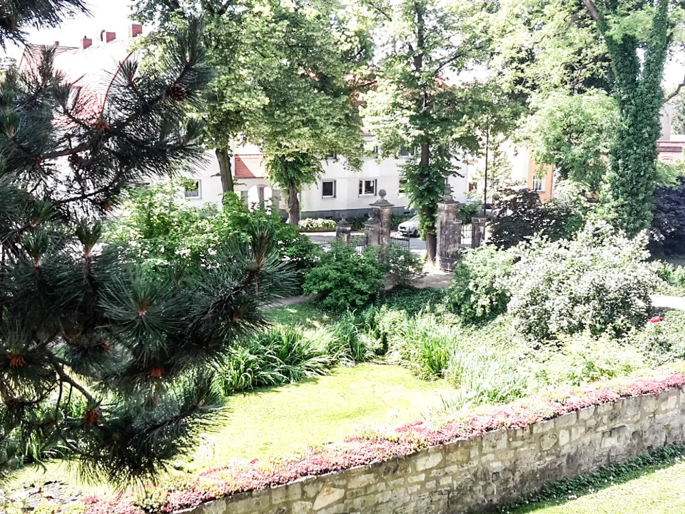 Blattwerk am Naumburger Dom